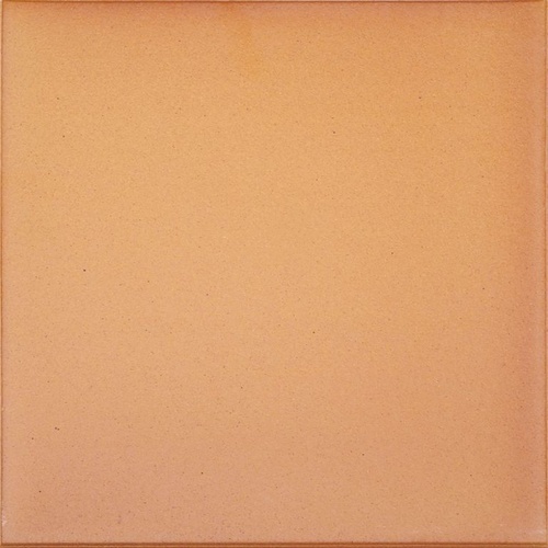 Плитка CANADA GRES NATURA 016 Terra матовая RH C 244×244×14 мм